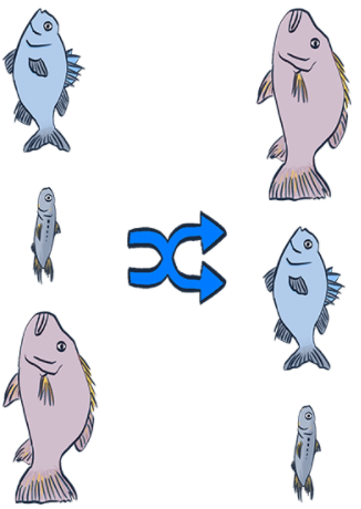 mceclip3.png